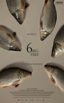 6 Big Fish (2013)