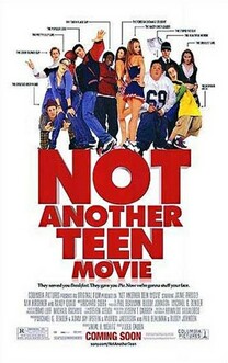Inca un film despre adolescenti?! (2001)