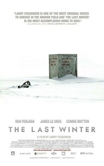 Ultima iarna (2006)