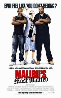Cel mai cautat din Malibu (2003)