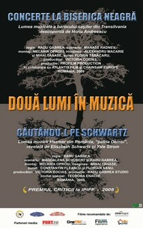 Doua lumi in muzica (2011)