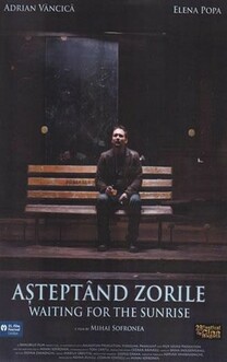 Asteptand Zorile (2011)