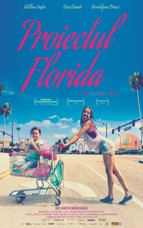 Proiectul Florida (2017)