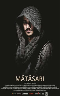 Mătăsari (2011)