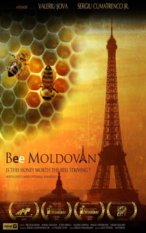 Bee Moldovan (2010)