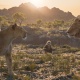 Mufasa: Regele Leu este acum disponibil pe Disney+